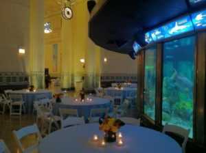 aquarium event venue with tables, chairs, and centerpieces