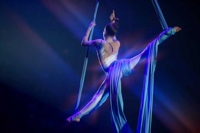 interactive shows